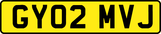 GY02MVJ