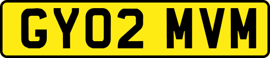 GY02MVM