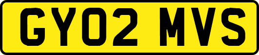 GY02MVS