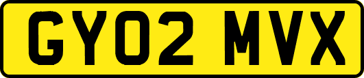 GY02MVX