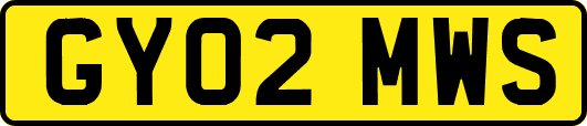 GY02MWS