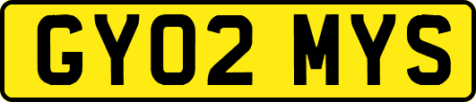GY02MYS
