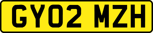 GY02MZH