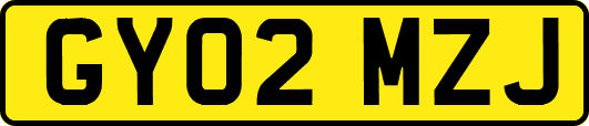 GY02MZJ