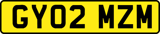 GY02MZM
