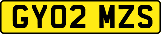 GY02MZS