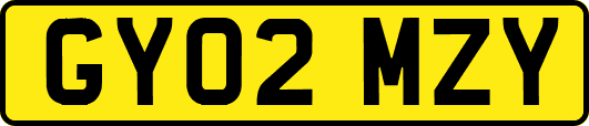 GY02MZY