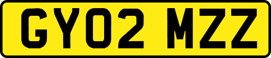 GY02MZZ