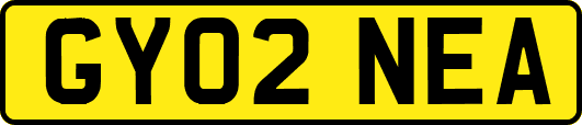 GY02NEA