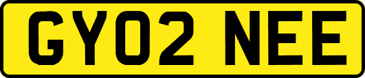 GY02NEE