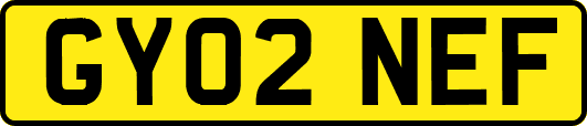 GY02NEF