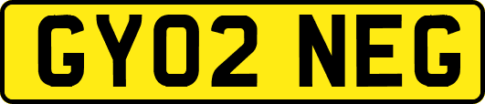 GY02NEG