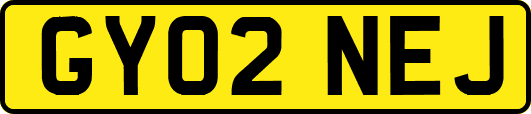 GY02NEJ