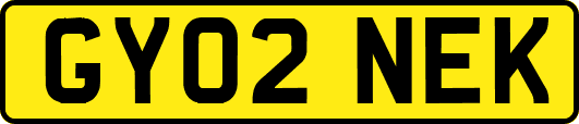 GY02NEK