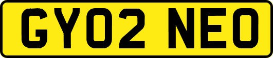 GY02NEO