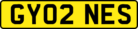 GY02NES