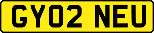 GY02NEU