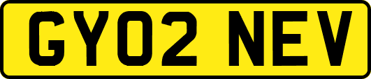 GY02NEV