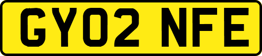 GY02NFE