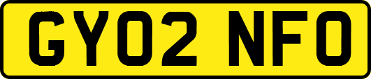 GY02NFO