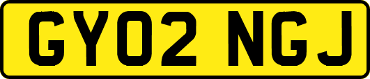 GY02NGJ