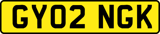 GY02NGK