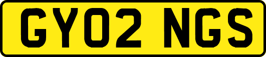 GY02NGS