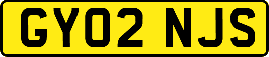 GY02NJS