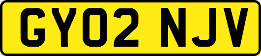 GY02NJV