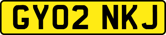 GY02NKJ