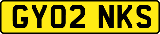 GY02NKS
