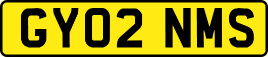 GY02NMS
