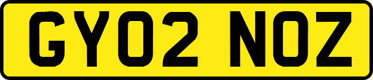GY02NOZ