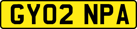 GY02NPA