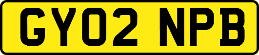 GY02NPB