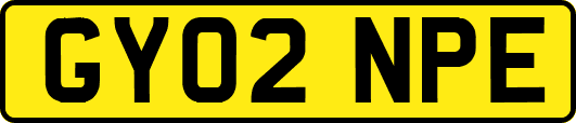 GY02NPE
