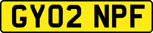 GY02NPF