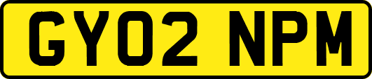 GY02NPM