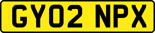 GY02NPX