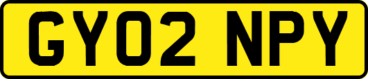 GY02NPY
