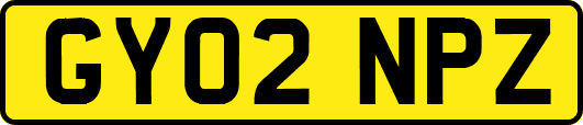 GY02NPZ