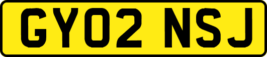 GY02NSJ