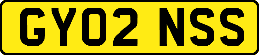 GY02NSS