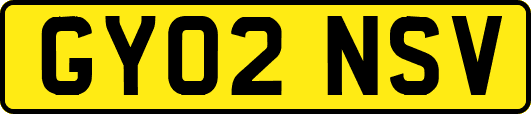 GY02NSV