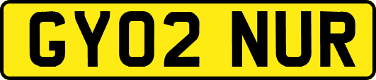 GY02NUR