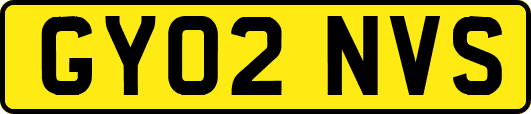 GY02NVS