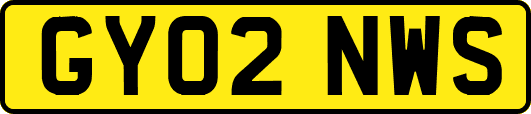 GY02NWS