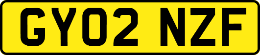 GY02NZF