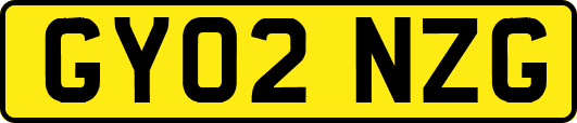 GY02NZG