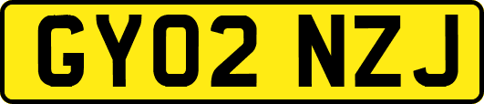 GY02NZJ